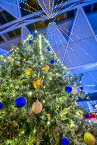 中部国際空港セントレア、クリスマスイルミネーション、12月冬、愛知県常滑市の観光・撮影スポットの画像と写真