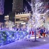 大名古屋ビルヂング、クリスマスイルミネーション、12月冬、名古屋市中村区の観光・撮影スポットの画像と写真