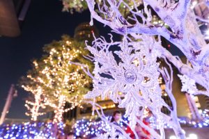 大名古屋ビルヂング、クリスマスイルミネーション、12月冬、名古屋市中村区の観光・撮影スポットの画像と写真