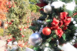久屋大通庭園フラリエ、クリスマス、12月冬、名古屋市中区の観光・撮影スポットの画像と写真