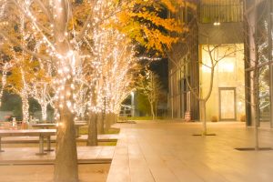 みんなの森・ぎふメディアコスモス、イルミネーション、12月冬、岐阜県岐阜市の観光・撮影スポットの画像と写真