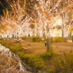 みんなの森・ぎふメディアコスモス、イルミネーション、12月冬、岐阜県岐阜市の観光・撮影スポットの画像と写真