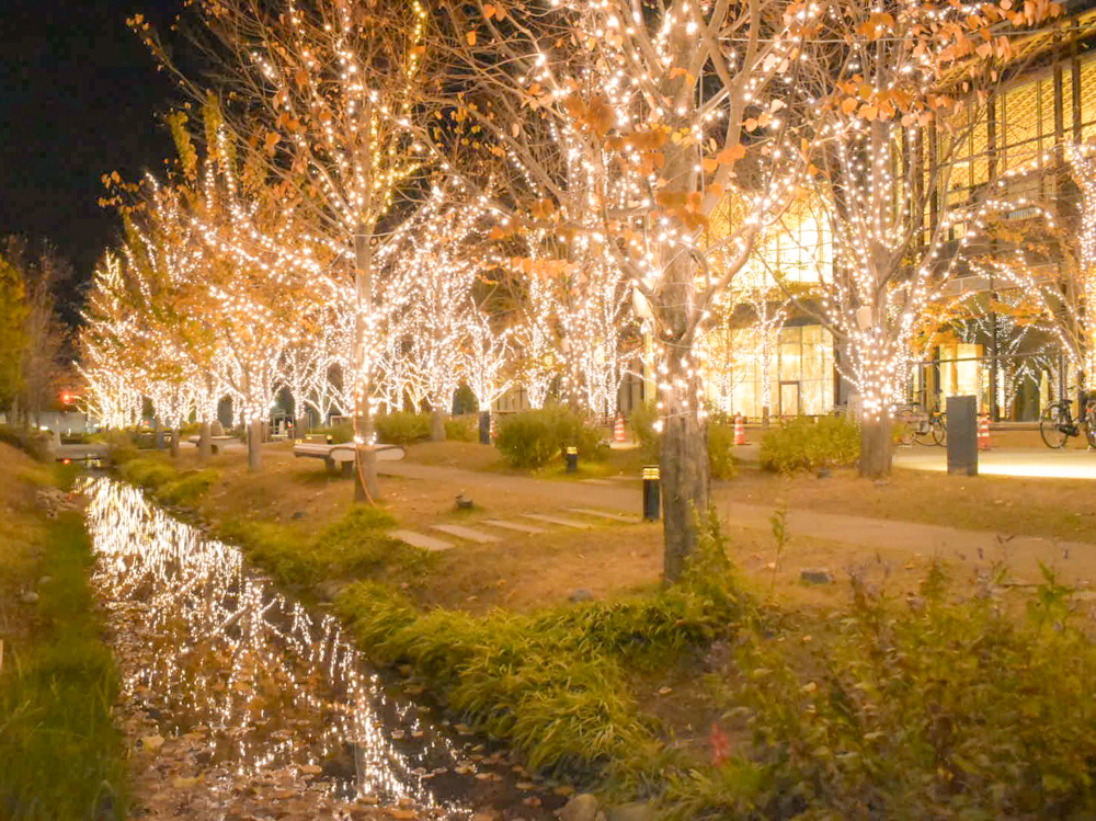 みんなの森・ぎふメディアコスモス、イルミネーション、12月冬、岐阜県岐阜市の観光・撮影スポットの画像と写真