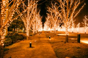 みんなの森・ぎふメディアコスモス、イルミネーション、12月冬、岐阜県岐阜市の観光・撮影スポットの画像と写真