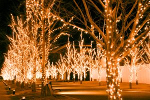 みんなの森・ぎふメディアコスモス、イルミネーション、12月冬、岐阜県岐阜市の観光・撮影スポットの画像と写真