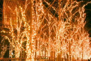 みんなの森・ぎふメディアコスモス、イルミネーション、12月冬、岐阜県岐阜市の観光・撮影スポットの画像と写真