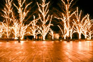 みんなの森・ぎふメディアコスモス、イルミネーション、12月冬、岐阜県岐阜市の観光・撮影スポットの画像と写真