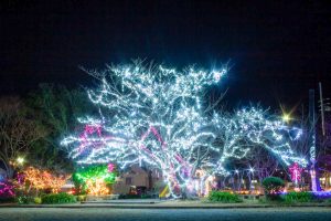 五ヶ所児童公園、イルミネーション、12月冬、三重県度合郡の観光・撮影スポットの画像と写真