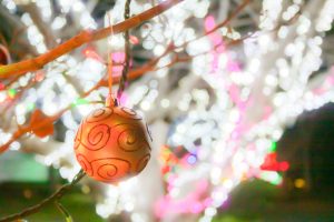 五ヶ所児童公園、イルミネーション、12月冬、三重県度合郡の観光・撮影スポットの画像と写真