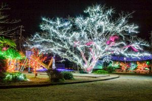 五ヶ所児童公園、イルミネーション、12月冬、三重県度合郡の観光・撮影スポットの画像と写真