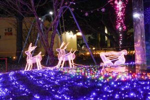 五ヶ所児童公園、イルミネーション、12月冬、三重県度合郡の観光・撮影スポットの画像と写真