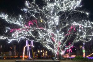 五ヶ所児童公園、イルミネーション、12月冬、三重県度合郡の観光・撮影スポットの画像と写真