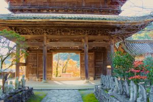 行基寺、紅葉、11月秋、岐阜県海津市の観光・撮影スポットの画像と写真