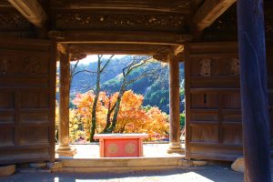 行基寺、紅葉、11月秋、岐阜県海津市の観光・撮影スポットの画像と写真