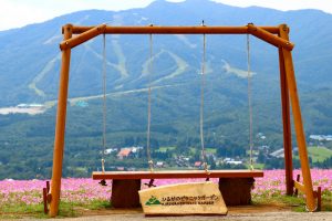 ひるがのピクニック、ブランコ、8月夏、岐阜県郡上市の観光・撮影スポットの画像と写真