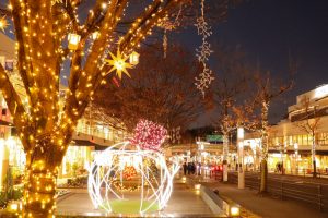 星が丘テラス、クリスマスイルミネーション、12月冬、名古屋市千種区の観光・撮影スポットの画像と写真