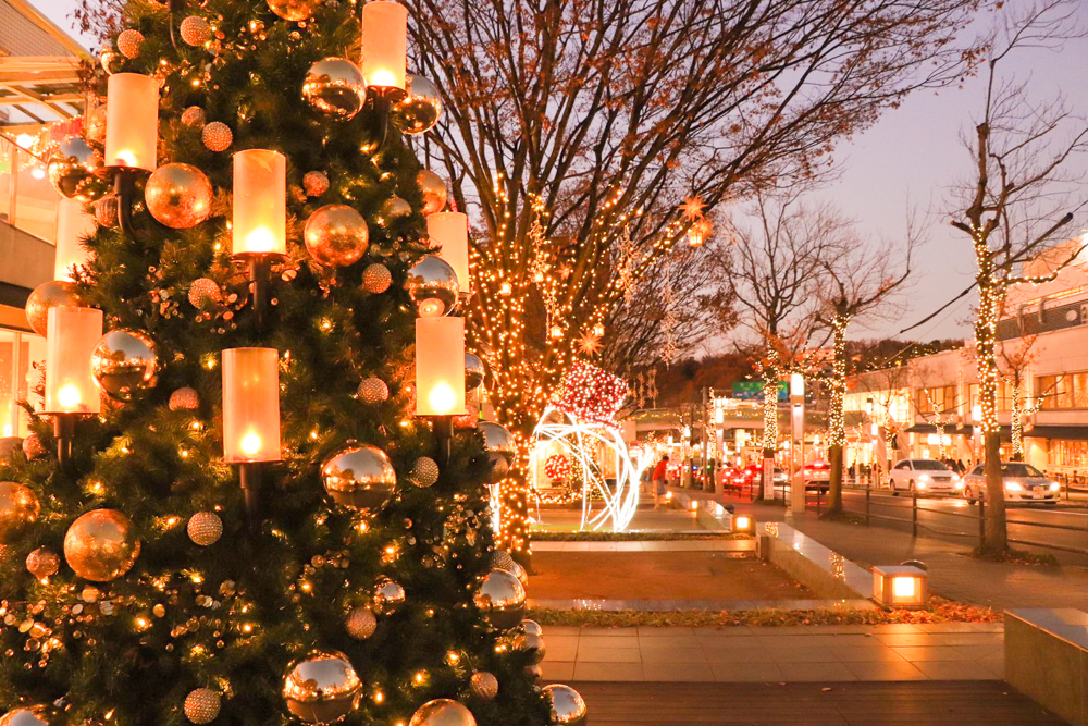 星が丘テラス、クリスマスイルミネーション、12月冬、名古屋市千種区の観光・撮影スポットの画像と写真