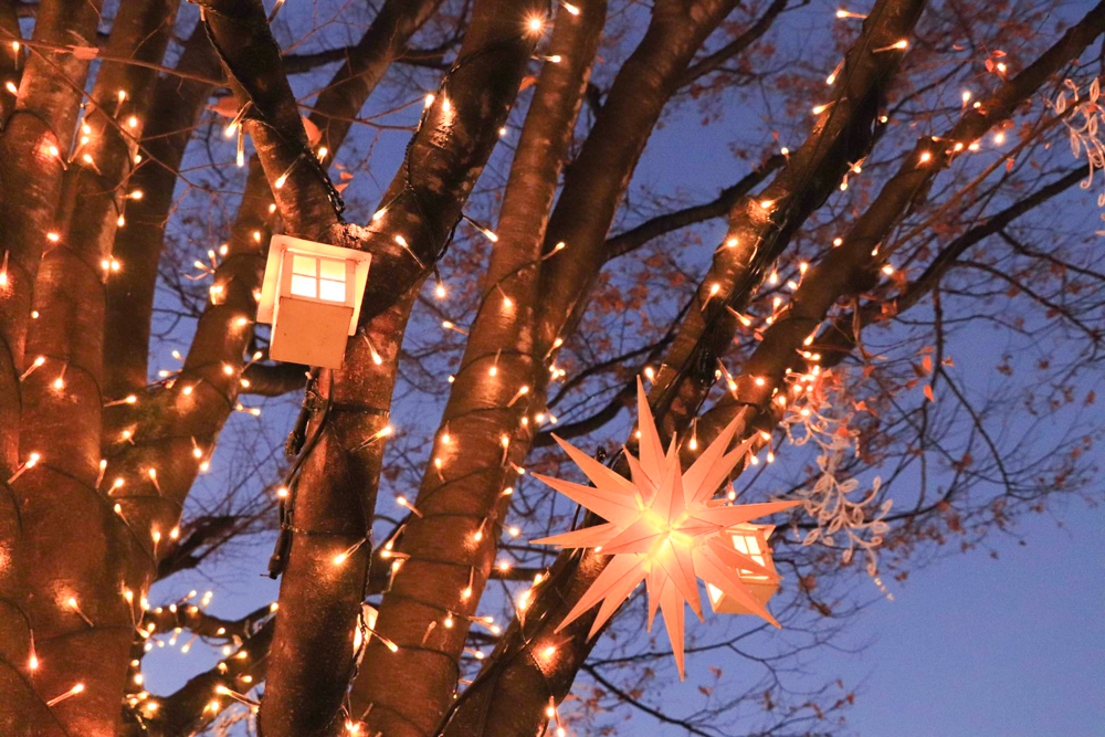 星が丘テラス、クリスマスイルミネーション、12月冬、名古屋市千種区の観光・撮影スポットの画像と写真