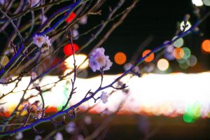 刈谷ハイウェイオアシス、イルミネーション、11月冬、愛知県刈谷市の観光・撮影スポットの画像と写真