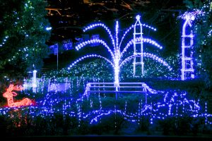 刈谷ハイウェイオアシス、イルミネーション、11月冬、愛知県刈谷市の観光・撮影スポットの画像と写真