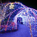 刈谷ハイウェイオアシス、イルミネーション、11月冬、愛知県刈谷市の観光・撮影スポットの画像と写真