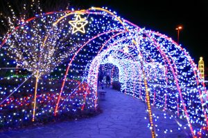 刈谷ハイウェイオアシス、イルミネーション、11月冬、愛知県刈谷市の観光・撮影スポットの画像と写真