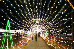 刈谷ハイウェイオアシス、イルミネーション、11月冬、愛知県刈谷市の観光・撮影スポットの画像と写真
