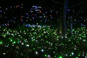 刈谷ハイウェイオアシス、イルミネーション、11月冬、愛知県刈谷市の観光・撮影スポットの画像と写真