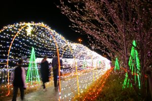 刈谷ハイウェイオアシス、イルミネーション、11月冬、愛知県刈谷市の観光・撮影スポットの画像と写真