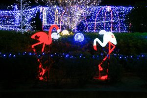 刈谷ハイウェイオアシス、イルミネーション、11月冬、愛知県刈谷市の観光・撮影スポットの画像と写真