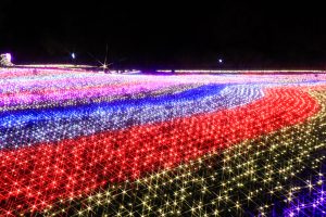 木曽三川公園センター、イルミネーション、12月冬、岐阜県海津市の観光・撮影スポットの画像と写真
