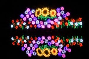 木曽三川公園センター、イルミネーション、12月冬、岐阜県海津市の観光・撮影スポットの画像と写真