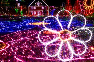 木曽三川公園センター、イルミネーション、12月冬、岐阜県海津市の観光・撮影スポットの画像と写真