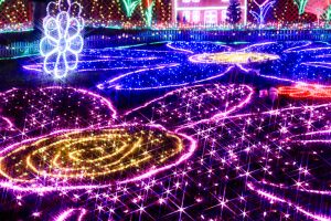 木曽三川公園センター、イルミネーション、12月冬、岐阜県海津市の観光・撮影スポットの画像と写真
