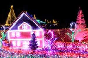 木曽三川公園センター、イルミネーション、12月冬、岐阜県海津市の観光・撮影スポットの画像と写真