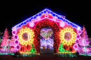 木曽三川公園センター、イルミネーション、12月冬、岐阜県海津市の観光・撮影スポットの画像と写真
