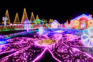 木曽三川公園センター、イルミネーション、12月冬、岐阜県海津市の観光・撮影スポットの画像と写真