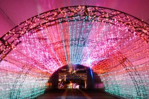 木曽三川公園センター、イルミネーション、12月冬、岐阜県海津市の観光・撮影スポットの画像と写真
