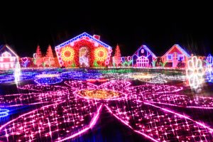 木曽三川公園センター、イルミネーション、12月冬、岐阜県海津市の観光・撮影スポットの画像と写真