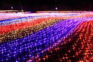 木曽三川公園センター、イルミネーション、12月冬、岐阜県海津市の観光・撮影スポットの画像と写真