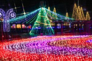 木曽三川公園センター、イルミネーション、12月冬、岐阜県海津市の観光・撮影スポットの画像と写真