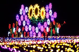 木曽三川公園センター、イルミネーション、12月冬、岐阜県海津市の観光・撮影スポットの画像と写真