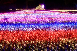 木曽三川公園センター、イルミネーション、12月冬、岐阜県海津市の観光・撮影スポットの画像と写真