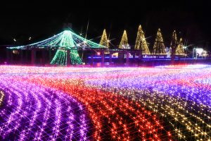 木曽三川公園センター、イルミネーション、12月冬、岐阜県海津市の観光・撮影スポットの画像と写真