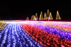 木曽三川公園センター、イルミネーション、12月冬、岐阜県海津市の観光・撮影スポットの画像と写真