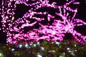 清州城、イルミネーション、12月冬、愛知県清須市の観光・撮影スポットの画像と写真