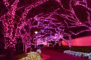 清州城、イルミネーション、12月冬、愛知県清須市の観光・撮影スポットの画像と写真