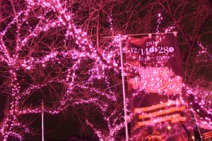 清州城、イルミネーション、12月冬、愛知県清須市の観光・撮影スポットの画像と写真