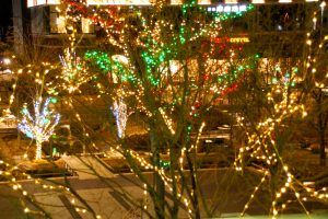 虎渓用水広場、イルミネーション、12月冬、岐阜県多治見市の観光・撮影スポットの画像と写真