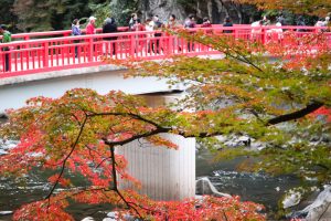 香嵐渓、紅葉、11月秋、愛知県豊田市の観光・撮影スポットの画像と写真